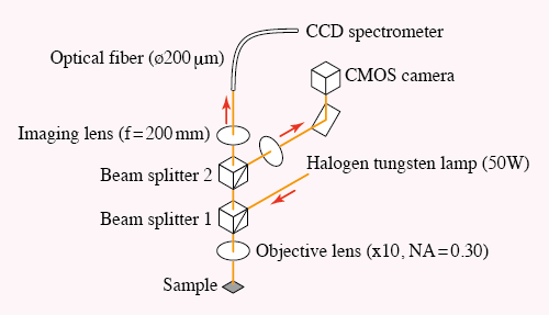 図3　顕微分光光学系
