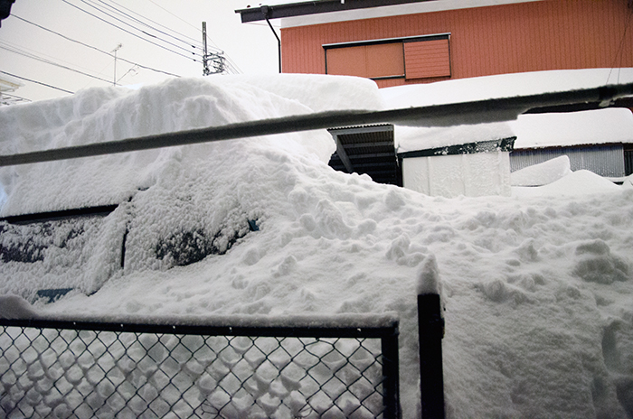 徒然「光」写真館 photo