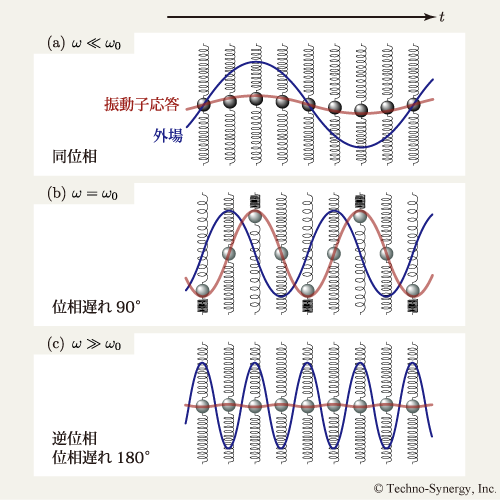 図23　バネ振動応答の周波数による違い