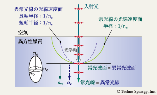 図19　常光線/異常光線の進み方（3）