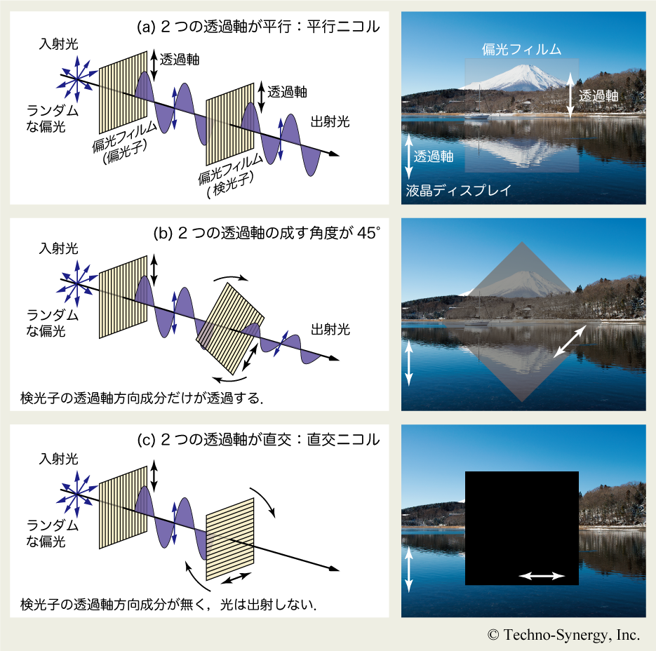 図2-3　偏光フィルムの回転と出射する光の強度の関係